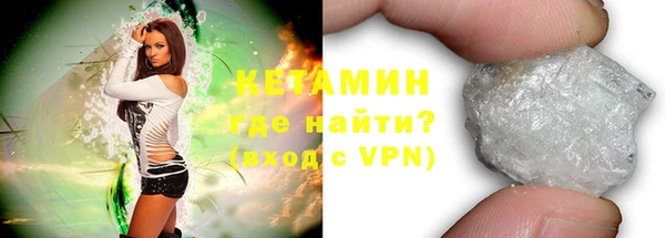 индика Кулебаки