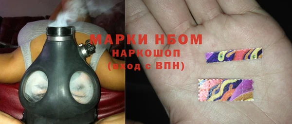 СК Краснослободск