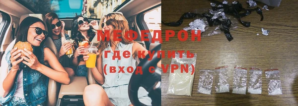 индика Кулебаки