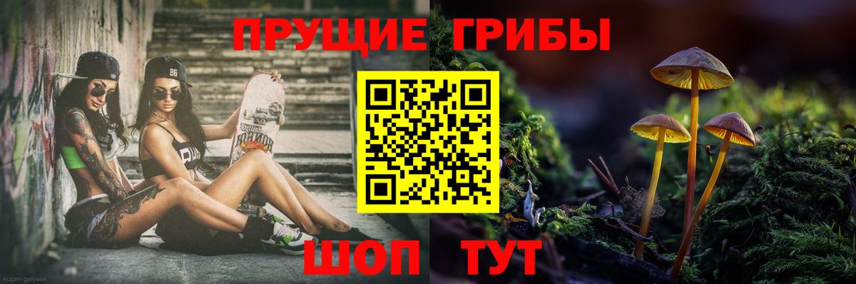 Галлюциногенные грибы GOLDEN TEACHER  купить закладку  Серпухов  Вход с VPN 
