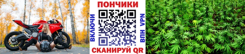 закладки  Серпухов  kraken tor  МАРИХУАНА OG Kush 